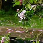 Natuurhuisje Laanzicht 펜션 *