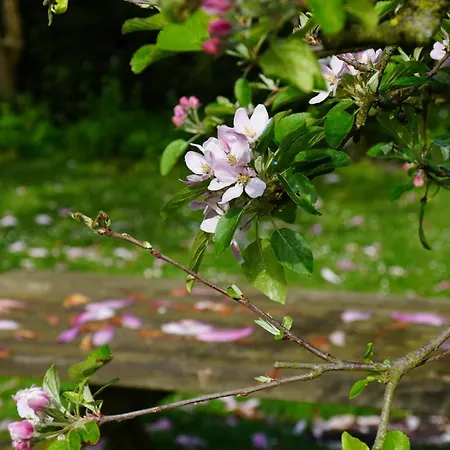 Natuurhuisje Laanzicht Prázdninový dům *