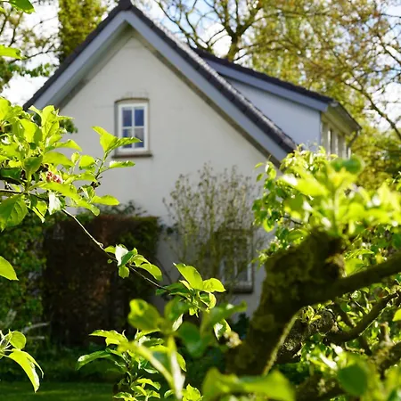 Natuurhuisje Laanzicht Prázdninový dům *